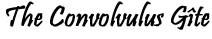 Convolvulus Gite